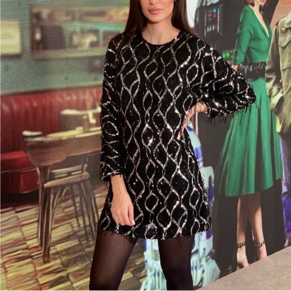 Nwt-Zara- SEQUIN FRINGED MINI DRESS - Picture 5 of 15